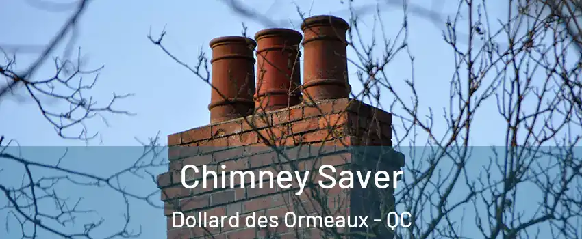  Chimney Saver Dollard des Ormeaux - QC