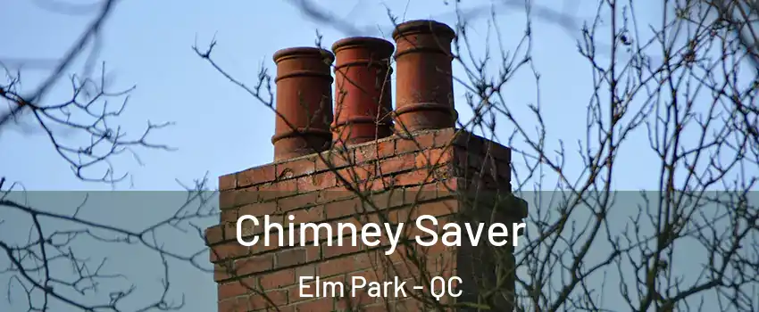 Chimney Saver Elm Park - QC