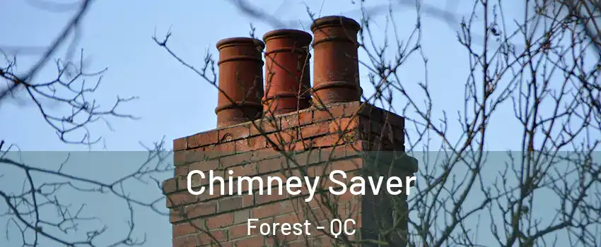 Chimney Saver Forest - QC