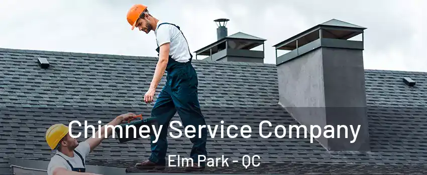  Chimney Service Company Elm Park - QC