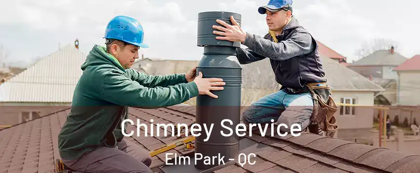 Chimney Service Elm Park - QC