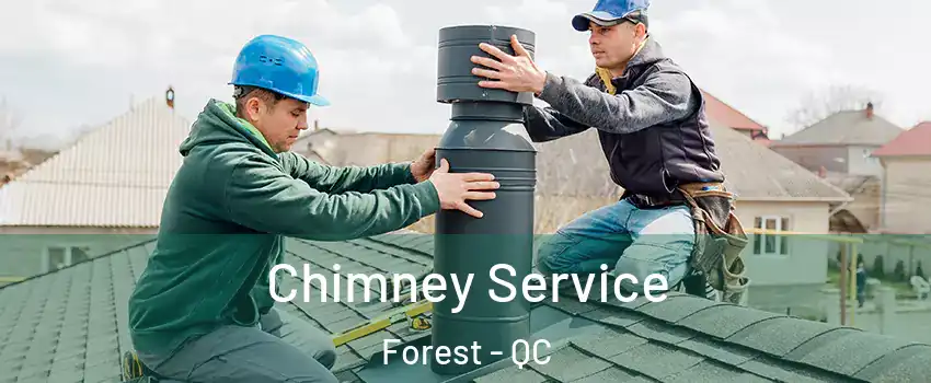  Chimney Service Forest - QC