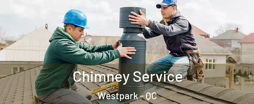 Chimney Service Westpark - QC