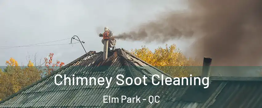  Chimney Soot Cleaning Elm Park - QC