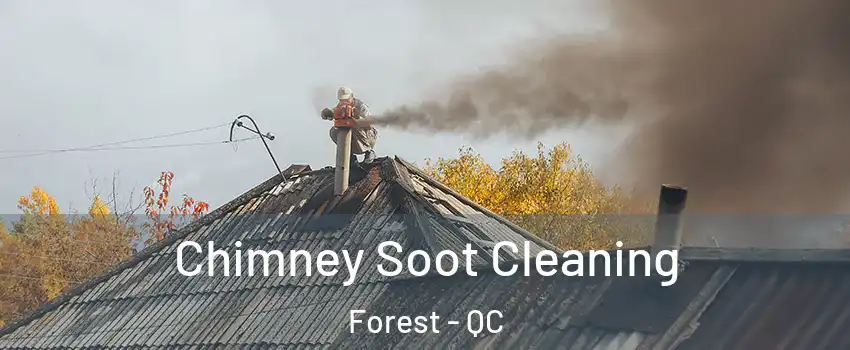  Chimney Soot Cleaning Forest - QC