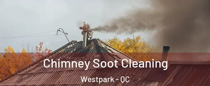  Chimney Soot Cleaning Westpark - QC