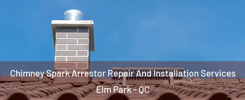 Chimney Spark Arrestor Repair And Installation Services Elm Park - QC