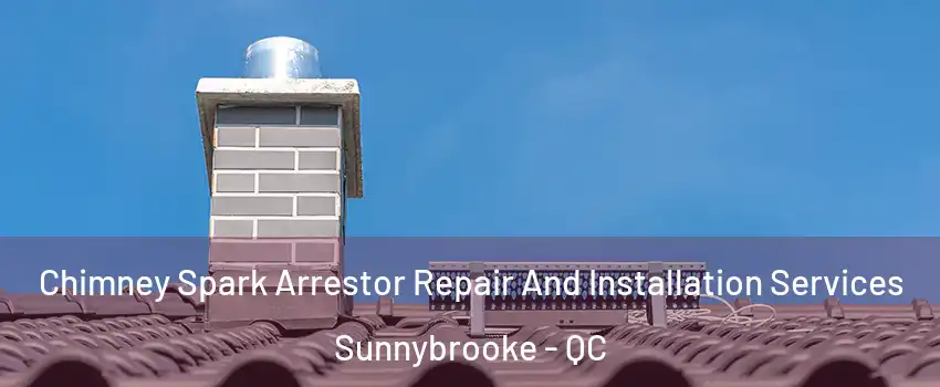  Chimney Spark Arrestor Repair And Installation Services Sunnybrooke - QC