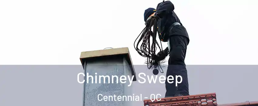 Chimney Sweep Centennial - QC