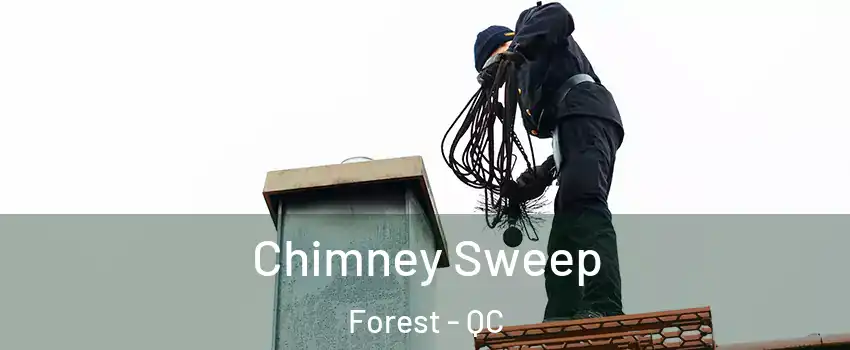 Chimney Sweep Forest - QC