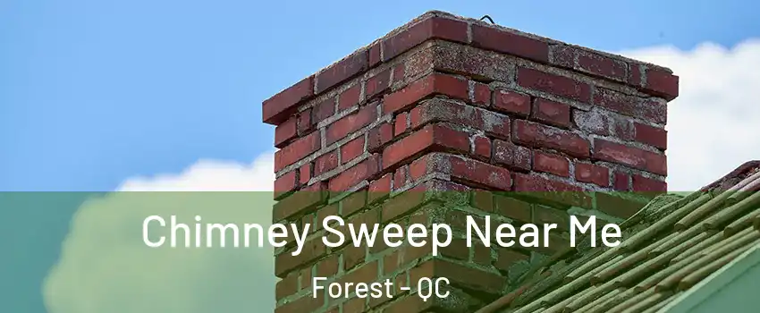  Chimney Sweep Near Me Forest - QC