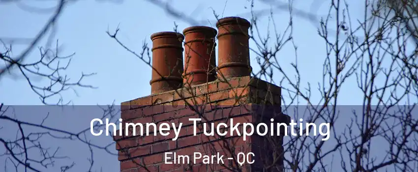  Chimney Tuckpointing Elm Park - QC