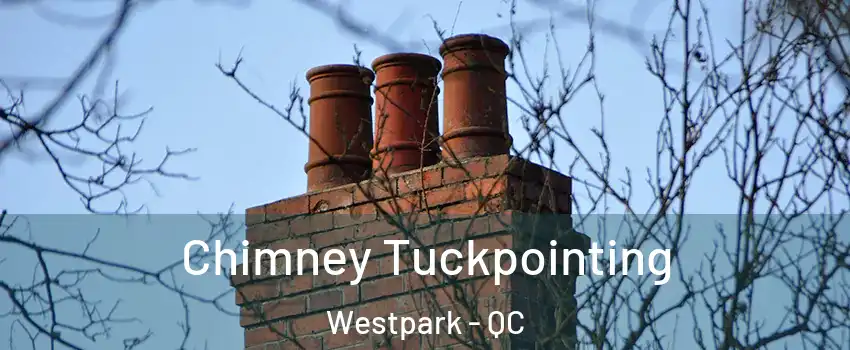  Chimney Tuckpointing Westpark - QC