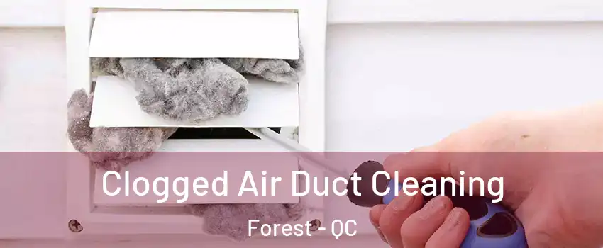  Clogged Air Duct Cleaning Forest - QC