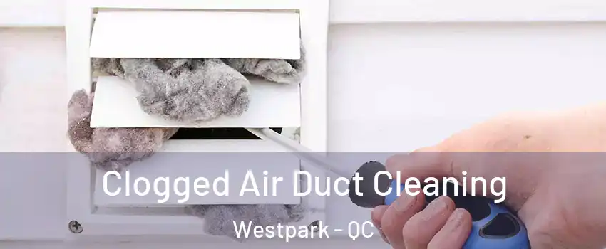 Clogged Air Duct Cleaning Westpark - QC