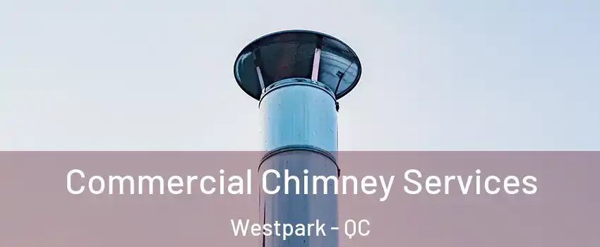  Commercial Chimney Services Westpark - QC