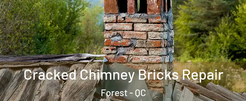  Cracked Chimney Bricks Repair Forest - QC