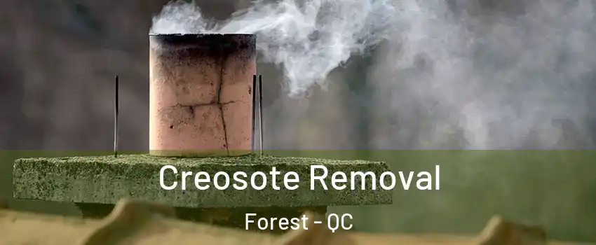 Creosote Removal Forest - QC
