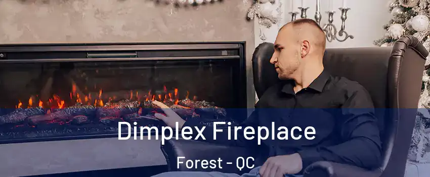 Dimplex Fireplace Forest - QC