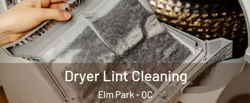 Dryer Lint Cleaning Elm Park - QC