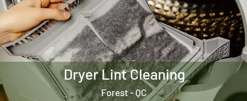 Dryer Lint Cleaning Forest - QC