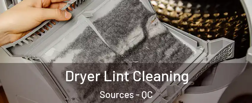  Dryer Lint Cleaning Sources - QC