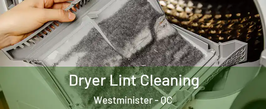  Dryer Lint Cleaning Westminister - QC