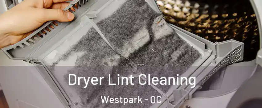  Dryer Lint Cleaning Westpark - QC