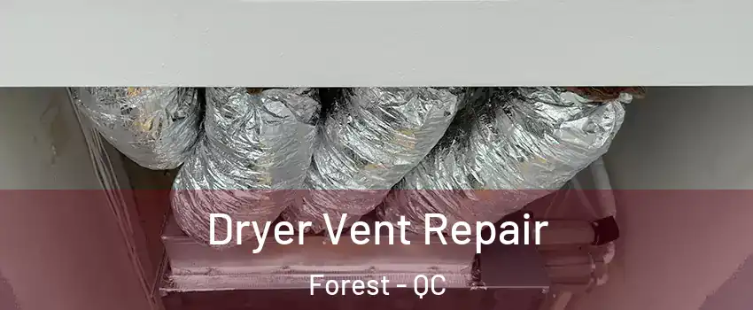 Dryer Vent Repair Forest - QC