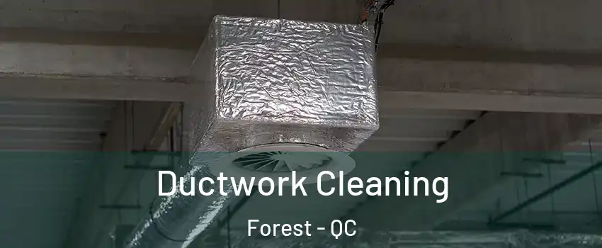 Ductwork Cleaning Forest - QC