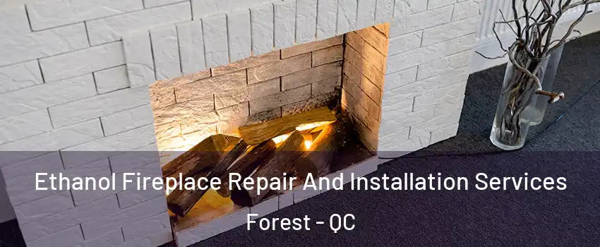  Ethanol Fireplace Repair And Installation Services Forest - QC
