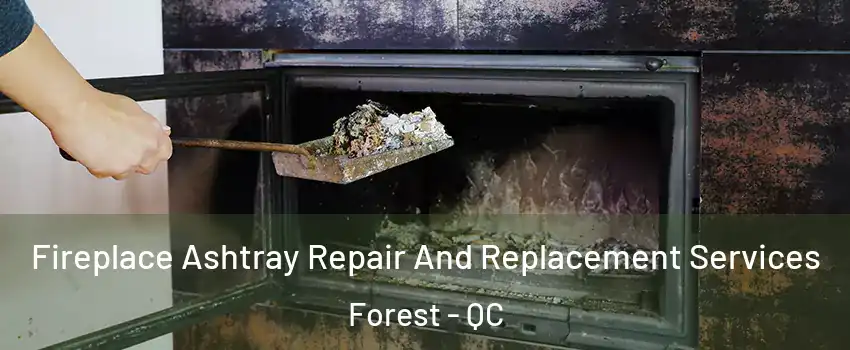  Fireplace Ashtray Repair And Replacement Services Forest - QC