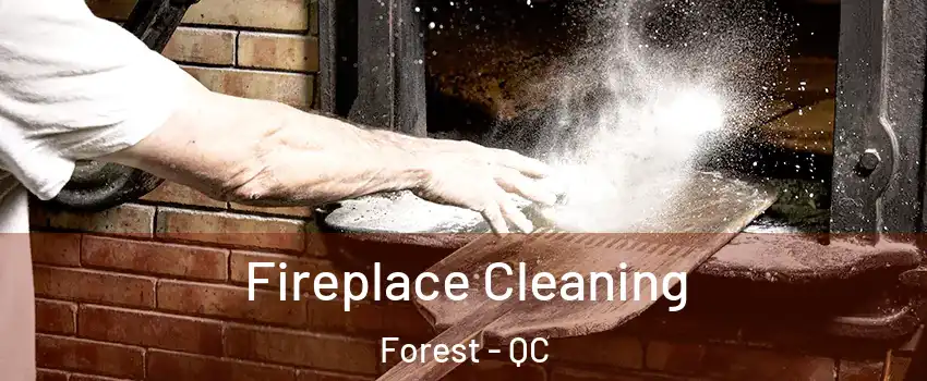 Fireplace Cleaning Forest - QC
