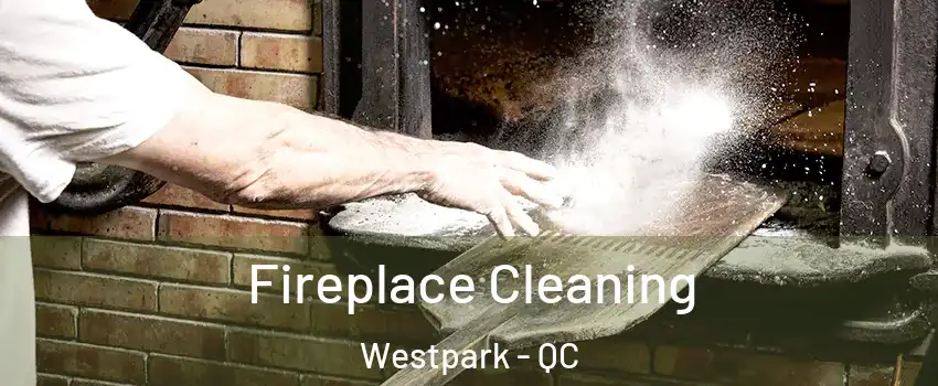  Fireplace Cleaning Westpark - QC