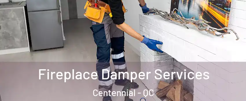  Fireplace Damper Services Centennial - QC