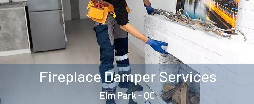  Fireplace Damper Services Elm Park - QC