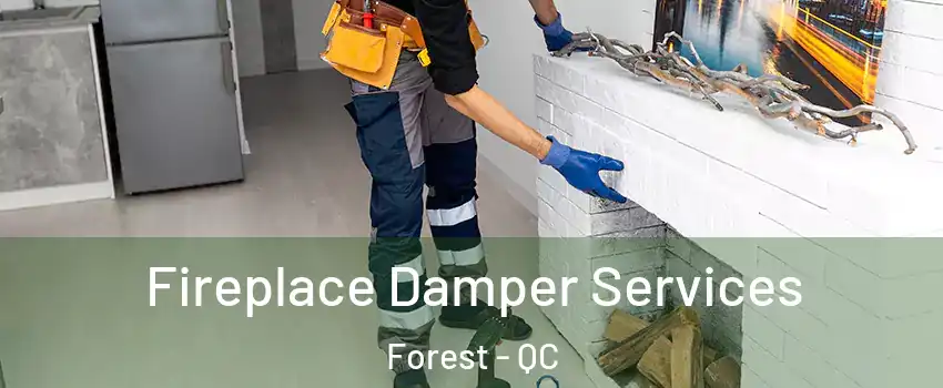  Fireplace Damper Services Forest - QC