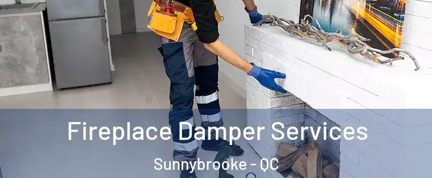 Fireplace Damper Services Sunnybrooke - QC