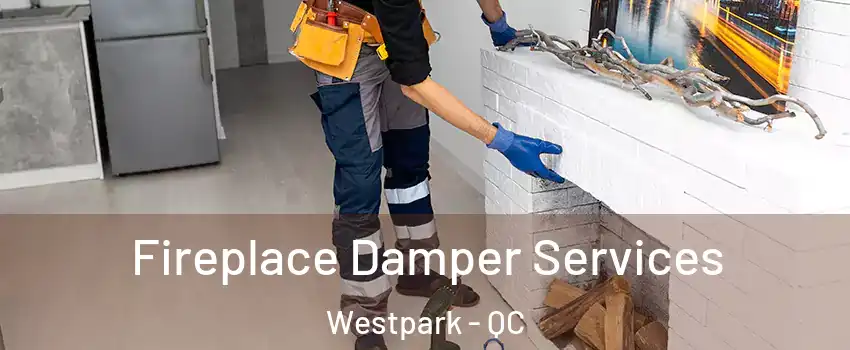  Fireplace Damper Services Westpark - QC