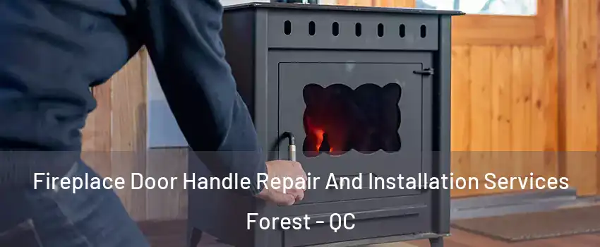  Fireplace Door Handle Repair And Installation Services Forest - QC