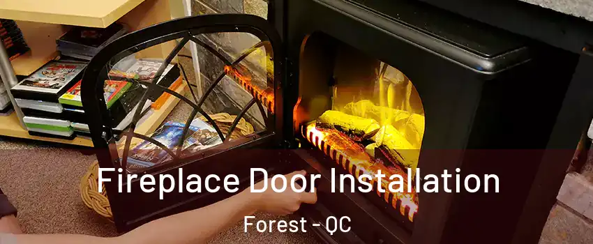 Fireplace Door Installation Forest - QC