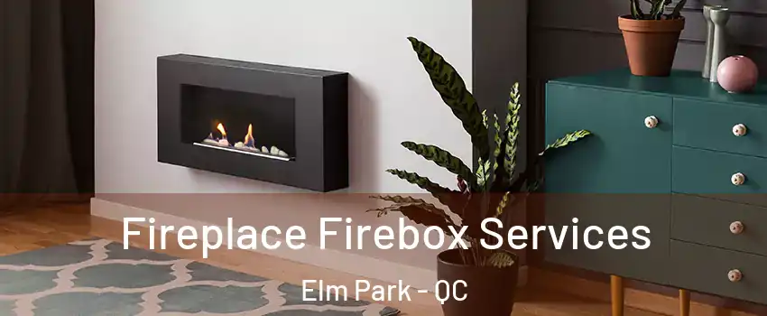 Fireplace Firebox Services Elm Park - QC