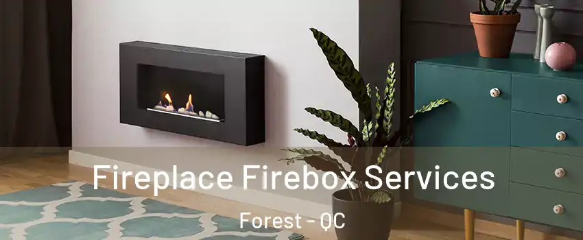 Fireplace Firebox Services Forest - QC