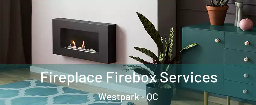  Fireplace Firebox Services Westpark - QC