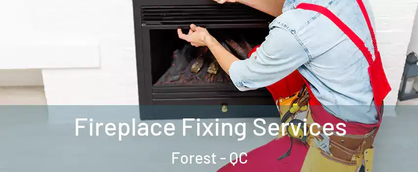 Fireplace Fixing Services Forest - QC