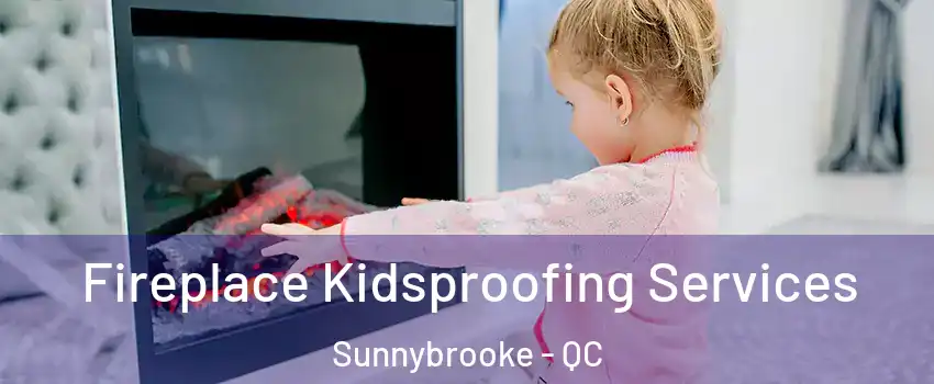  Fireplace Kidsproofing Services Sunnybrooke - QC