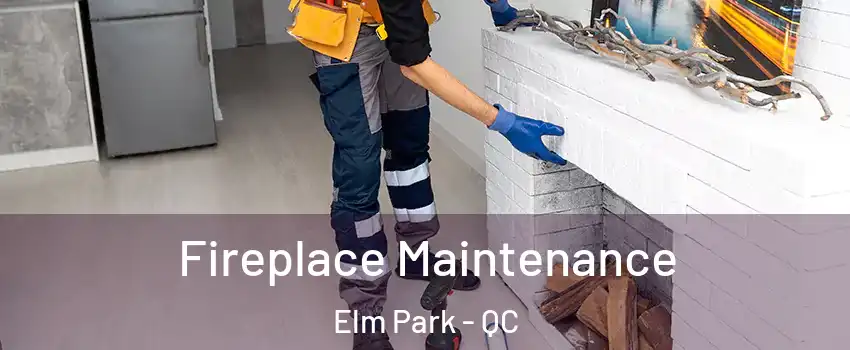 Fireplace Maintenance Elm Park - QC