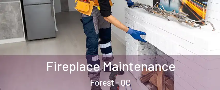 Fireplace Maintenance Forest - QC