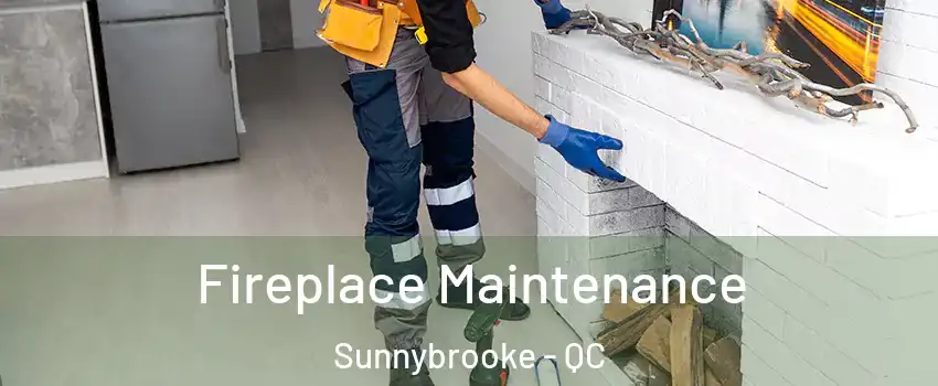  Fireplace Maintenance Sunnybrooke - QC