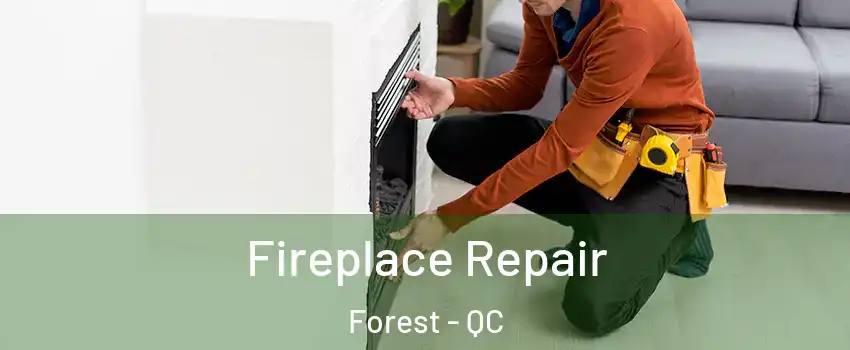 Fireplace Repair Forest - QC